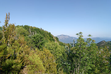 Fototapeta na wymiar Costa Verde mountain and San Petrone peak