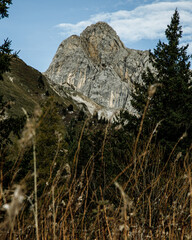 Premières neiges d'Automne sur les hauteurs du Vercors au dessus de Villard De Lans