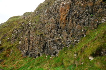 Giant's Causeway and Coast, Interlocking Basalt Columns in Antrim, Northern Ireland 