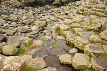 Giant's Causeway and Coast, Interlocking Basalt Columns in Antrim, Northern Ireland 