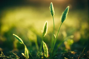 Fotobehang groen grasveld macro close-up © Generative Professor