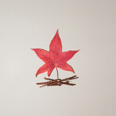 Maple leaf and twigs in shape of camp fire on grey background. Flat lay.