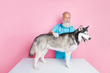 Photo of serious confident senior man doc dressed blue uniform checking dog health isolated pink color background