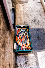 Croatian souvenirs, colorful carved ceramic fish.