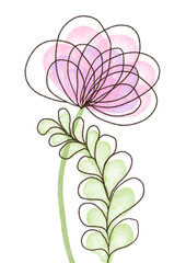 watercolor delicate flowers with an outline