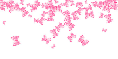 Exotic pink butterflies cartoon vector wallpaper. Summer vivid insects. Detailed butterflies cartoon girly background. Tender wings moths graphic design. Fragile beings.