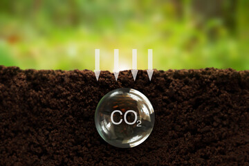 Formula of carbon in a transparent ball underground, on a green background. Reducing carbon...