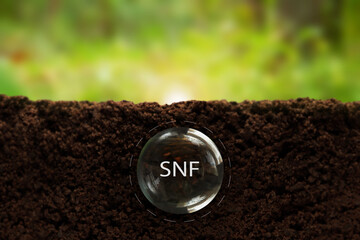 SNF.Transparent capsule underground on a green background. radioactive waste. Designation, spent...