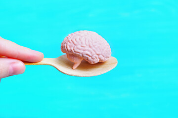 Toy human brain model on a wooden spoon