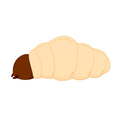 Edible worm vector. Grub worm vector. Grub worm on white background. symbol.