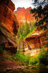 Towering Canyon Walls