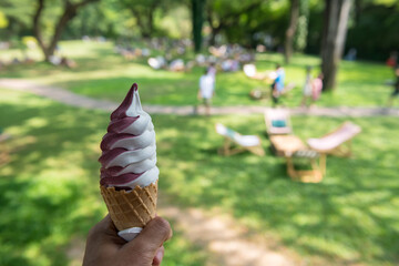 Two tone Black mulberry and milk ice cream on waffle cone in garden - obrazy, fototapety, plakaty