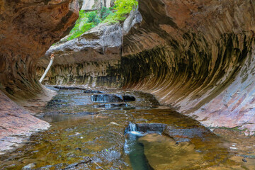 Opening of  the Cave