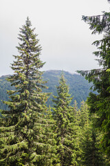 Beautifull view of Chornohora highest mountain range in Western Ukraine