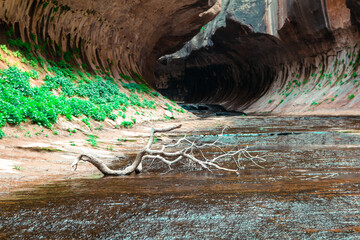 Branch on the Ground before the Cavern Entrance