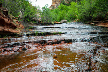 Waterfall in the Forest