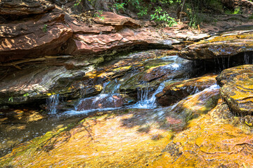 Stream in the Forest