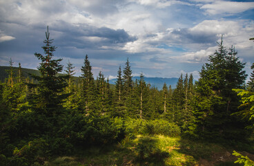 Beautifull over clouds view of Chornohora highest mountain range in Western Ukraine after the storm.