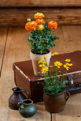 Home decorations with flowers. Wooden interior.