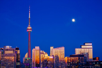 Fototapeta na wymiar View of Toronto skyscraper with beautiful night sky as background