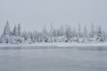 Image from Western Pålsputten Lake of the Torsæterkampen naturreservat or nature reserve of Østhøgda Hill, part of the Totenåsen Hills, Norway, in early winter.
