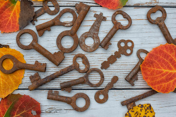 Old rusty keys and autumn leaves on a light wooden background. View from above