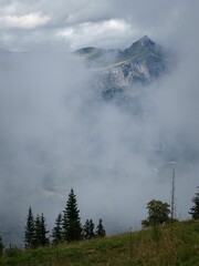 Landscape view of fir trees on green hill with foggy snowy mountains in Haute Savoie, France