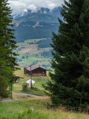 Landscape of a chalet on fields under green mountains with fir trees in Haute Savoie in France