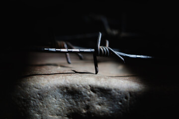 Barbed wire as a symbol of imprisonment, imprisonment and repression. Horizontakl image.