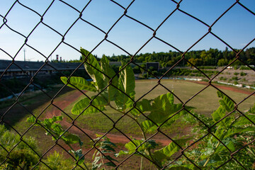 stary stadion piłki nożnej w ruinie 