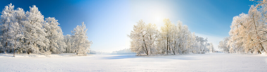 Fototapeta premium Panorama of beautiful winter park