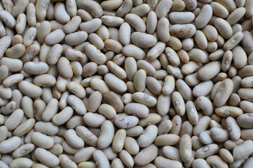 Harvest from dry beans