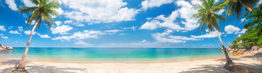 Fototapeta premium panorama of tropical beach with coconut palm trees