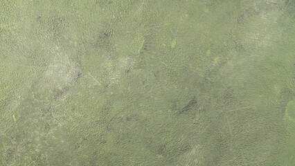 Abstract green background. Grunge texture painted surface. Earth green color stucco texture. Zero waste. Sustainable lifestyle