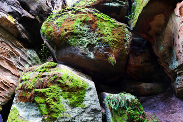 Beautiful sandstone Rocks in Czech Paradise, clear green Nature, Mala Skala, Little Rock, Czech Republic