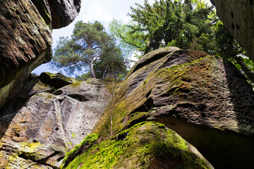 Beautiful sandstone Rocks in Czech Paradise, clear green Nature, Mala Skala, Little Rock, Czech Republic