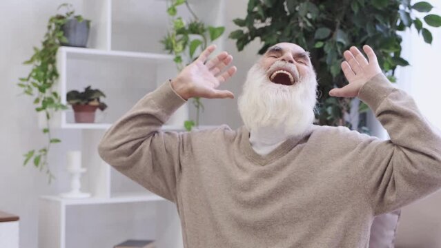 Cheerful man with long grey beard laughs loud putting hands on head at home. Expressive pensioner shows acting skills to camera sitting in armchair against pot-plant in living room at home closeup