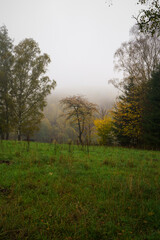 Nebellandschaft bei Hinterhermsdorf- Sächsische Schweiz 5