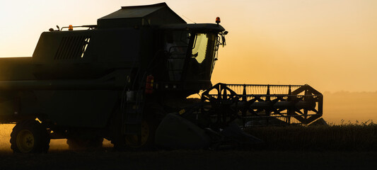 Harvester working in wheatfield at sunset.