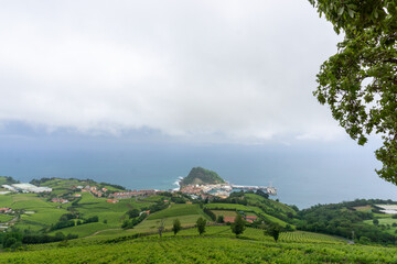 Getaria vineyards with ocean in background