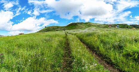 Paisaje con prados verdes frescos y flores silvestres . Vista del campo natural rural al aire libre, panorámica primavera verano.