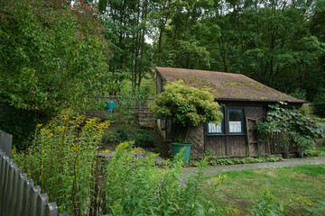 Beautiful small dacha (mansion) in Hannover  with potted plant  Schizophragma japonica and large leaves of ivy