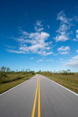 Main Park Road receding into distance in Everglades National Park, Florida on sunny autumn morning.
