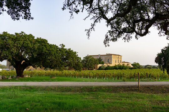 Portugal , Castle, vineyards