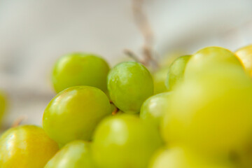 Grapes in a basket or bowl, summer fruit. Fruits are good for health. Proper nutrition, raw food.