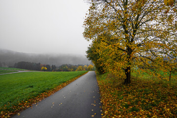 Herbst in der Sächsischen Schweiz- Hinterhermsdorf 3