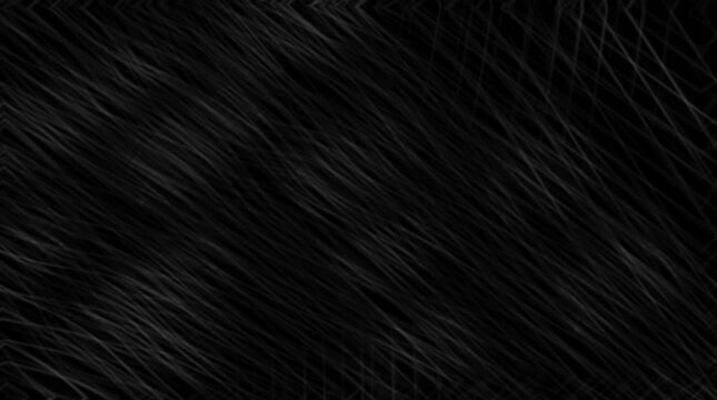 Animated looping abstract background with white lines on black background