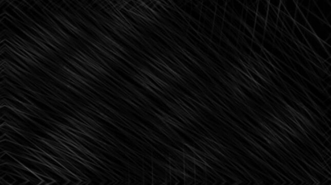 Animated looping abstract background with white lines on black background