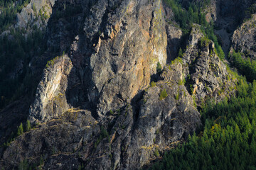 Detail of the rugged west face of Mount Si in the Washington Cascades with fir trees on the flank