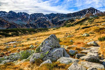 Scenic landscape of Tatra mountains captured in Poland with a group of hikers walking uphill